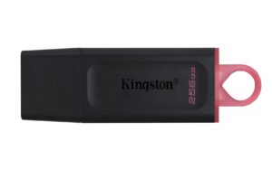 Kingston Technology DataTraveler Exodia USB atmintukas 256 GB USB A tipo 3.2 Gen 1 (3.1 Gen 1) Juoda, Rožinė